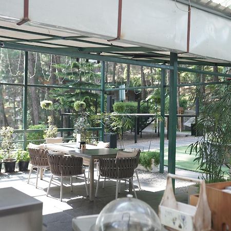 Kasauli Hills Resort Esterno foto