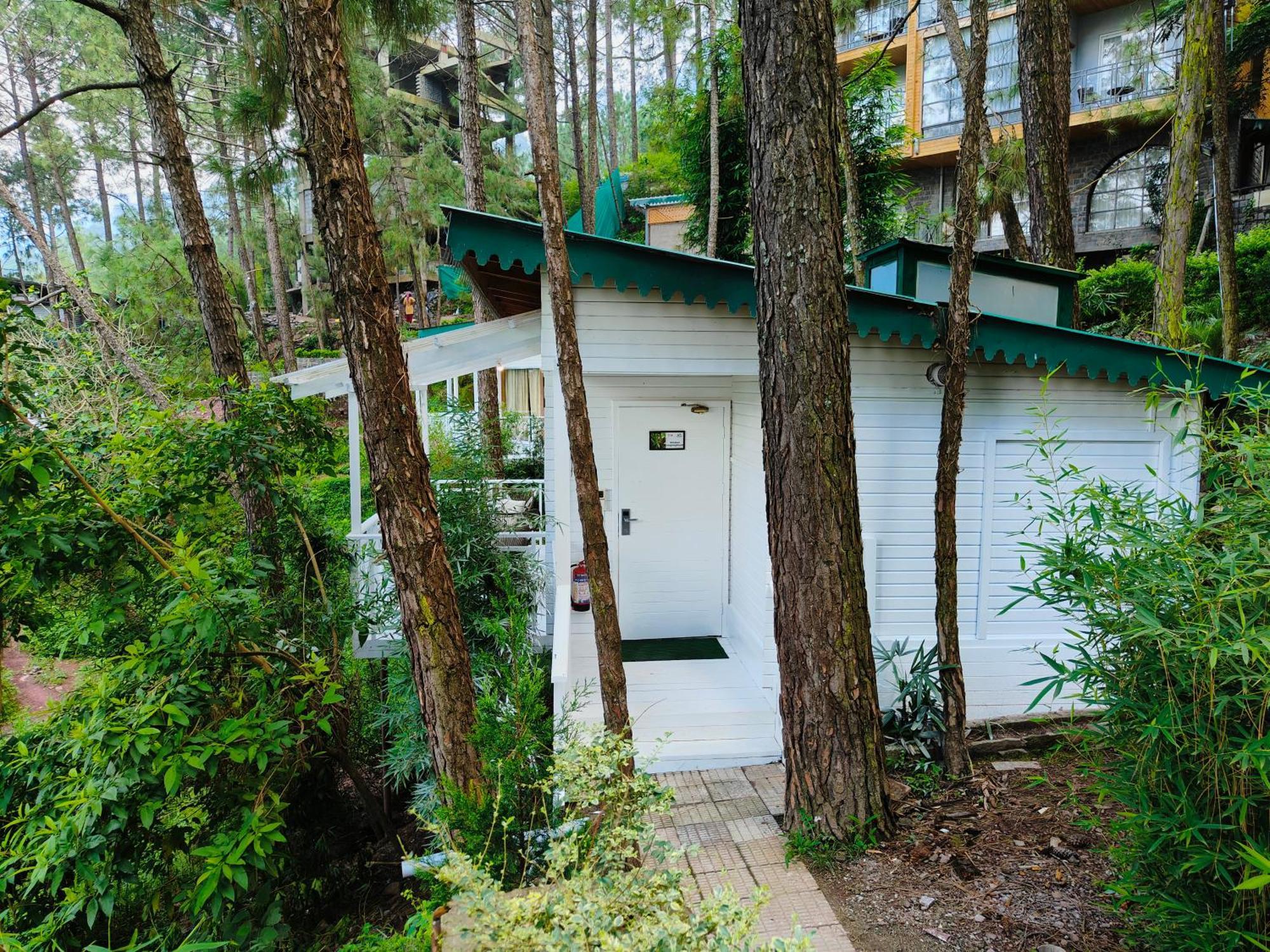 Kasauli Hills Resort Esterno foto
