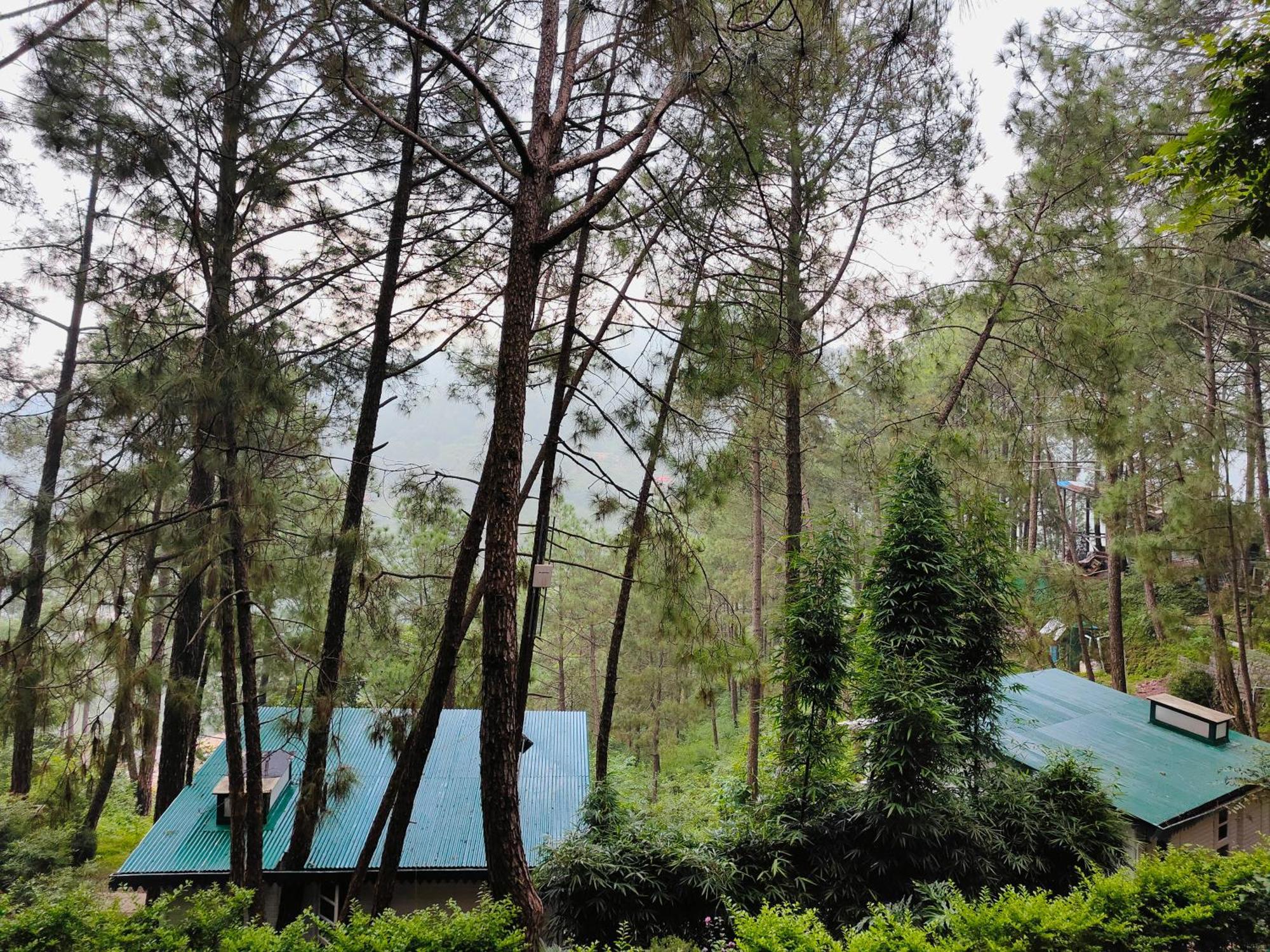 Kasauli Hills Resort Esterno foto